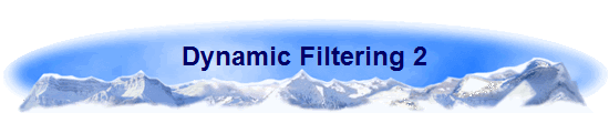 Dynamic Filtering 2