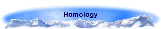Homology